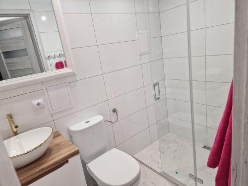 ein Bad mit einem WC, einem Waschbecken und einer Dusche in der Unterkunft Kawalerka na pierwszym piętrze in Malbork