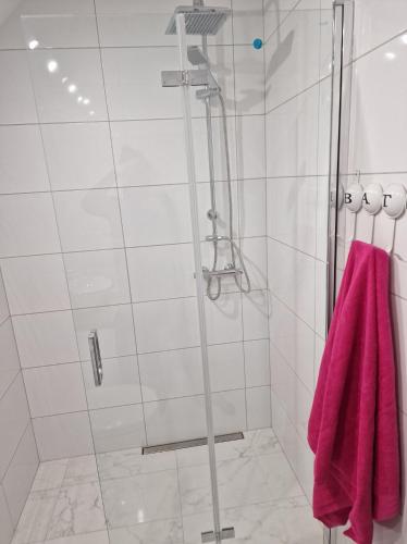 a bathroom with a shower with a pink towel at Kawalerka na pierwszym piętrze in Malbork
