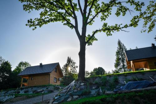 a log cabin with a tree in the foreground at Niedźwiedzia Dolina in Przybyszów