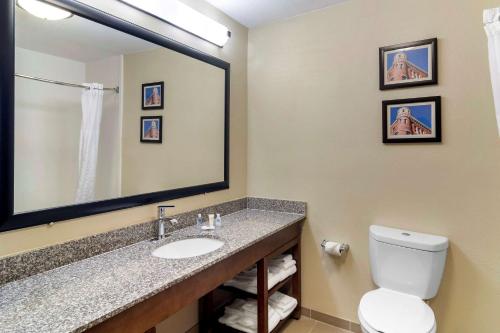 ein Badezimmer mit einem Waschbecken, einem WC und einem Spiegel in der Unterkunft Comfort Inn & Suites Macon North I-75 in Macon