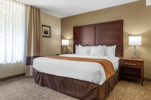 a hotel room with a large bed and a window at Comfort Inn Charlotte Airport Uptown in Charlotte