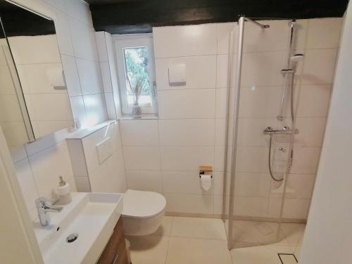 ein Bad mit einer Dusche, einem WC und einem Waschbecken in der Unterkunft Alter Speicher in Soltau