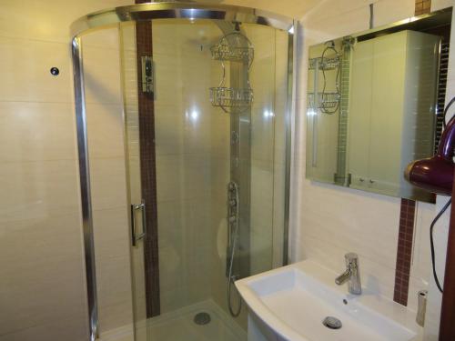 a shower with a glass door next to a sink at Apartament Flores 1 in Mielno