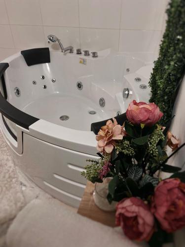 MD apartman Natur – Photos 2