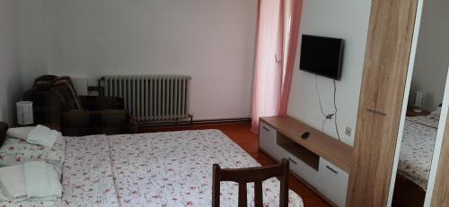 a bedroom with a bed and a tv on the wall at Apartments Nebojša in Soko Banja