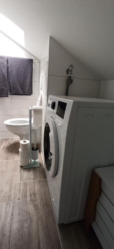 a washing machine in a bathroom with a sink at Alb-Biosphäre-Ferienwohnung in Ingstetten