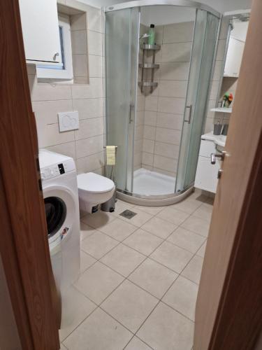 a bathroom with a shower and a toilet and a sink at Beautiful house Lanna in Izola
