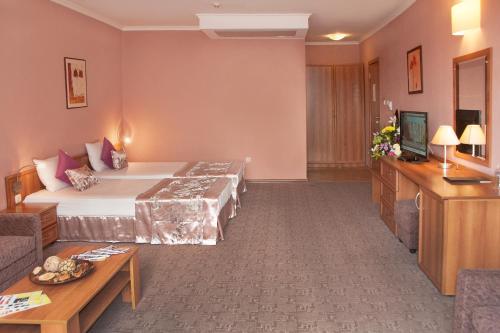 a hotel room with a bed and a television at Hotel Real in Plovdiv