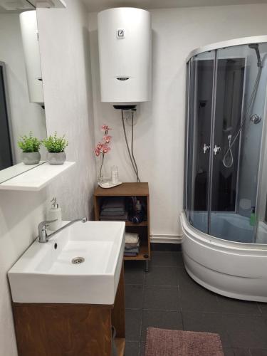 ein Badezimmer mit einem Waschbecken, einer Dusche und einer Badewanne in der Unterkunft Old Town Apartment nr 9 in Valga