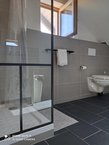 a bathroom with a toilet and a glass shower at Ferienhaus am Bach in Achslach