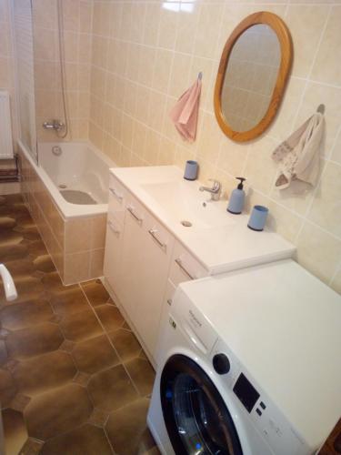 La salle de bains est pourvue d'un lavabo et d'un lave-linge. dans l'établissement GITE LA GRANDE AVALOUX, à Artannes-sur-Indre