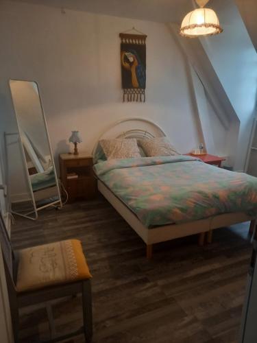 a bedroom with a bed and a mirror at Bienvenue en Périgord in Cendrieux