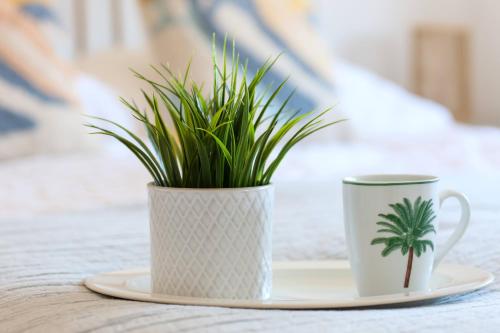 duas xícaras de café e uma planta sobre uma mesa em 'Elements' 3 bed home in Bracklesham Bay em Chichester