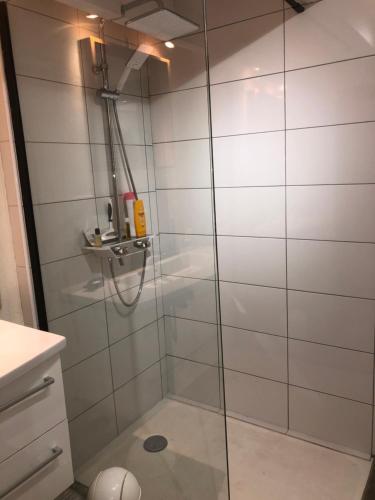 a shower with a glass door in a bathroom at La Grange de la Maison des chats - Gîte en Quercy in Saint-Amans-du-Pech