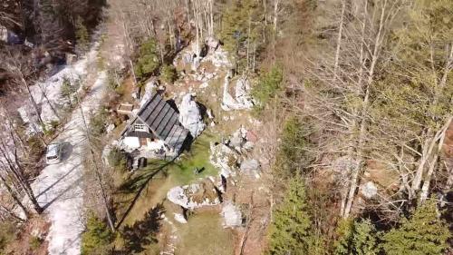 an aerial view of a house in the woods at Cottage Trenta in Bovec