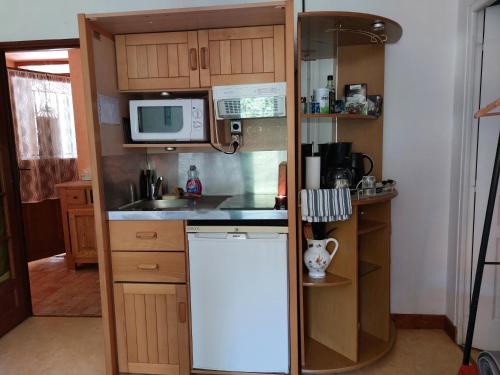 a small kitchen with a refrigerator and a microwave at SAGE Studio in Treignac