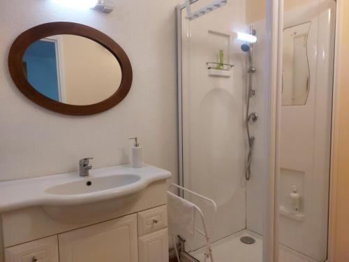 a bathroom with a sink and a shower with a mirror at SAGE Studio à côté de la Vézère in Treignac