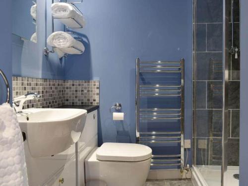 y baño con aseo, lavabo y ducha. en The Old Lyme Brewhouse en Lyme Regis