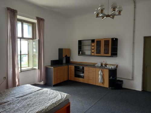 Habitación con cocina con fogones y cama. en Zámecký areál Holovousy, en Holovousy