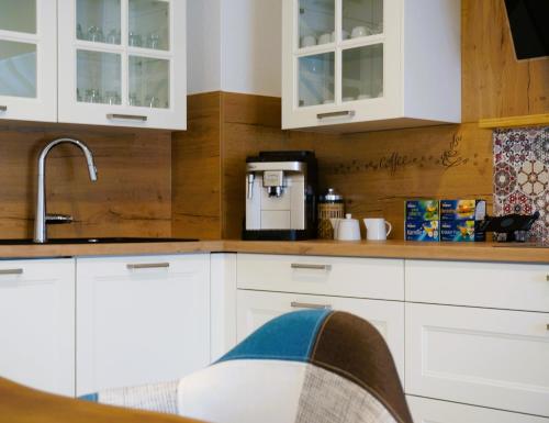 a kitchen with white cabinets and a sink at Mein Apartment Flowers mit Kamin, bis 10 Personen in Frankenthal