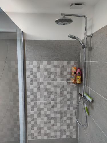 une douche avec une porte vitrée dans une salle de bain dans l'établissement Biscarrosse Bourg - Studio tout confort, à Biscarrosse