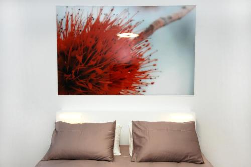 Fotografie z fotogalerie ubytování Galeria River v Lublani