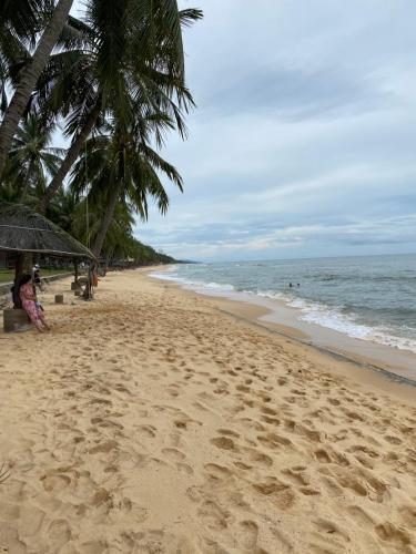 a sandy beach with palm trees and the ocean at Rockmila Hotel in Phu Quoc