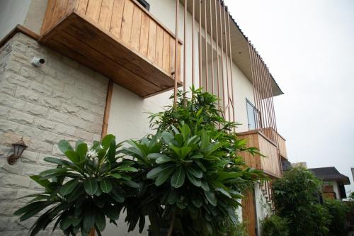 a bunch of plants on the side of a building at Palm Villas in Amritsar