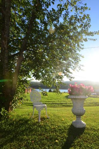a bench and a vase in a field with a tree at Villa Sisu in Överkalix
