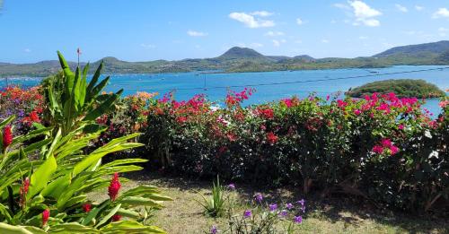 a bunch of flowers in front of a body of water at VILLA CARAIBES vue mer exceptionnelle in Le Marin