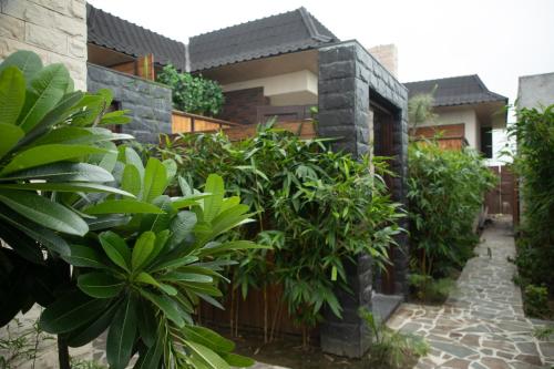 a house with a bunch of plants in front of it at Palm Villas in Amritsar