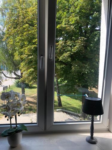 una ventana con vistas a un parque a través de ella en Winnica Apart, en Kielce