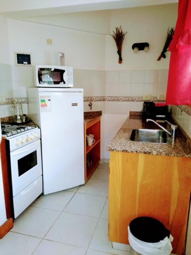 a kitchen with a white refrigerator and a sink at Apart Hotel del Pellin in San Martín de los Andes
