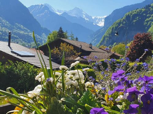 a garden with flowers and mountains in the background at BnB Chalet-Gafri - Frühstückspension in Wilderswil
