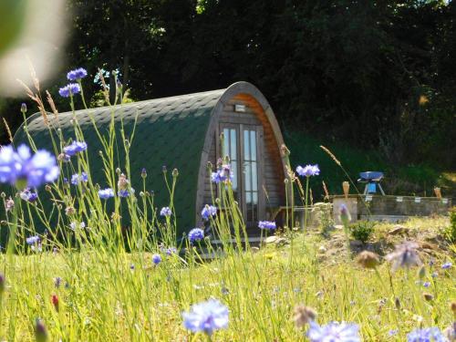 a small house in a field of flowers at 2 Bed Pod Cabin-Sleeps 2-Pets-Garden-Mtn View in Omagh