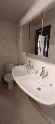 a bathroom with a sink and a toilet and a mirror at La Diligence in Arsdorf