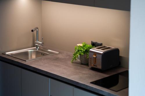 a kitchen counter with a sink and a toaster at Residence Veider in Rasùn di Sotto