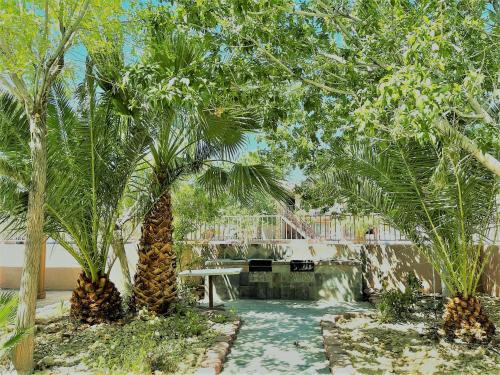 a courtyard with palm trees and a table and a fountain at Death Valley Inn in Beatty
