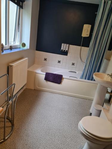 a bathroom with a tub and a toilet and a sink at North Wales Cosy Cottage with views near Eryri Snowdonia in Nantlle