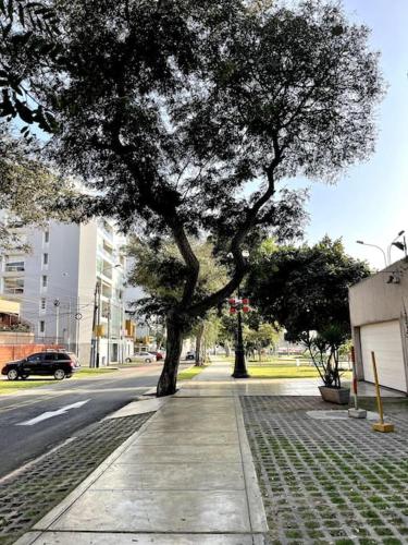 a tree on a sidewalk next to a street at Vistamar Duplex in Lima