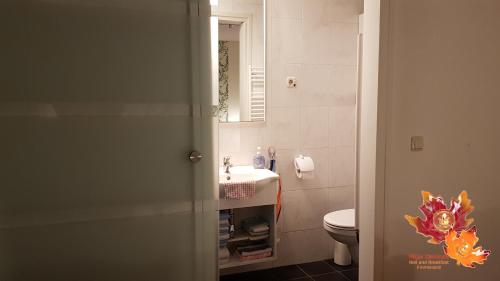 y baño con lavabo, aseo y espejo. en Appartement Mijn Ouders Bed en Breakfast Emmeloord en Emmeloord