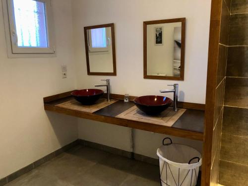 łazienka z 2 umywalkami i 2 lustrami w obiekcie Studio avec extérieur ombragé w mieście Saint-Marcel-lès-Valence