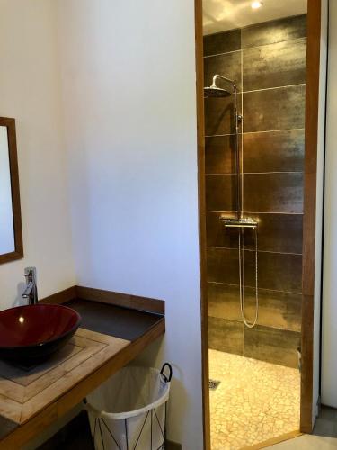 y baño con lavabo rojo y ducha. en Studio avec extérieur ombragé, en Saint-Marcel-lès-Valence
