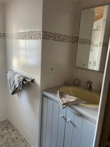 a bathroom with a sink and a mirror at Les Chênes Verts in Le Grand Vieil