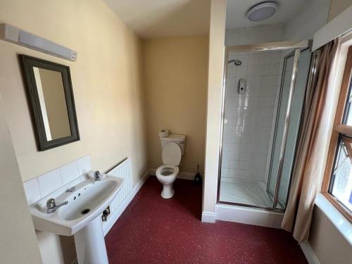 a bathroom with a toilet and a sink and a shower at The Hoptimist in Stockton-on-Tees