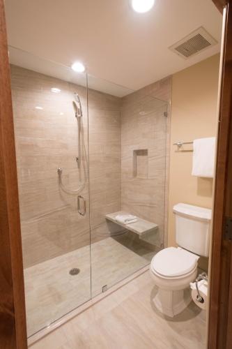 a bathroom with a toilet and a glass shower at The Chateaux Deer Valley in Park City