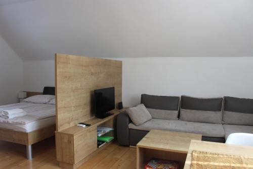 ein Wohnzimmer mit einem Sofa und einem TV in der Unterkunft Mariana Apartment in Bled