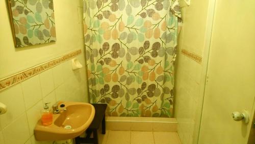 a bathroom with a sink and a shower curtain at La Casa del Manzano in Puno