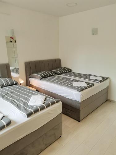Apartments Petrova170