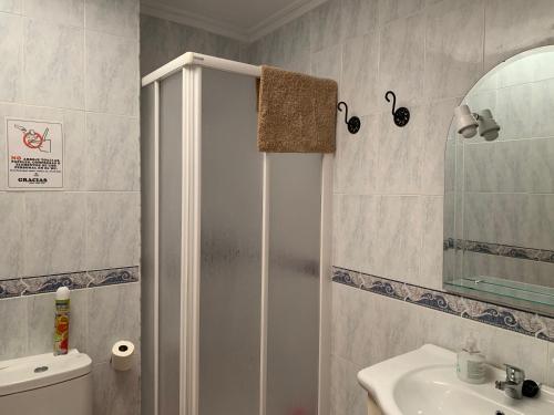 a bathroom with a shower and a sink at Apartamento Rural Cardera en la Sierra de Cazorla in Beas de Segura